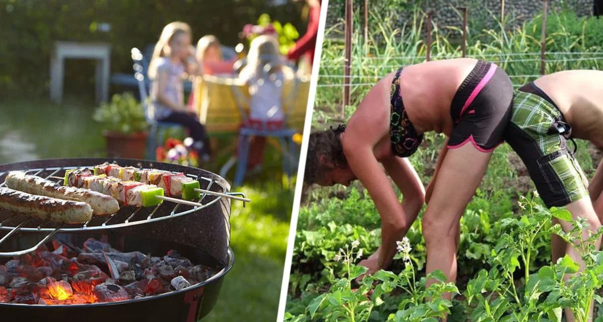 Голландец приехал в Россию и понял, почему у россиян популярны дачи Голландец приехал в Россию и понял, почему у россиян популярны дачи