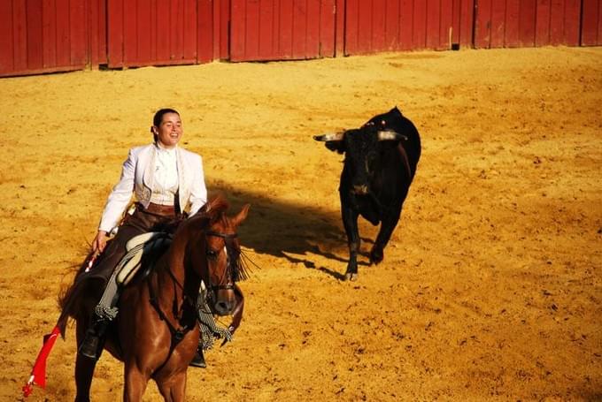 Испания - На фото: если лошадь ранена, быка временно отвлекают помощники тореро, пока тот пересаживается на новую лошадь.