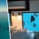 Подводный отель на популярном у россиян африканском курорте позволяет гостям спать в окружении океана и рыб