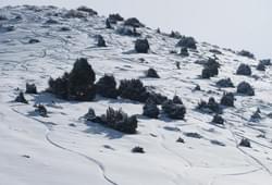 <p>Лыжный сезон начинается с декабря (Иногда с Ноября) и заканчивается в марте. Температура в городе Бишкек может быть плюсовой, а в горах опускаться до -25°С.

Наши инструктора это опытные квалифицированные  горнолыжные гиды, оттачивающие свое мастерство на хели-ски и фри-райд программах, большинство из которых имеют опыт ски-альпинизма.</p> Фото 60137 Бишкек, Киргизия
