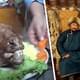 Российский турист был удивлен, получив на блюде голову вареного барана в популярной стране