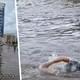 Русский турист устроил заплыв по улицам затопленного Дубая