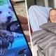 Туристка открыла окно автомобиля и в него неожиданно залез медведь, поранив 72-летнюю отдыхающую
