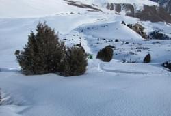 <p>Лыжный сезон начинается с декабря (Иногда с Ноября) и заканчивается в марте. Температура в городе Бишкек может быть плюсовой, а в горах опускаться до -25°С.

Наши инструктора это опытные квалифицированные  горнолыжные гиды, оттачивающие свое мастерство на хели-ски и фри-райд программах, большинство из которых имеют опыт ски-альпинизма.</p> Фото 60138 Бишкек, Киргизия