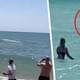 Акула утащила туристку на популярном курорте: хищник принадлежит к виду, убившему россиянина в Хургаде