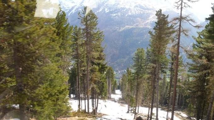 Австрия - Как меняется природа в Альпах на разной высоте