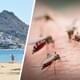 Комары и клещи России принесли 61 новый вирус