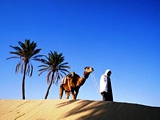 «Трансаэро» повезет туристов в Тунис не раньше конца апреля,  Тунис