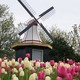 В Голландии расцветают тюльпаны и отельный бизнес,  Нидерланды