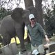 В Зимбабве слон разогнал обедавших туристов