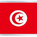 Сувениры из Хаммамета, Тунис. Магнит - флаг Туниса