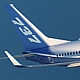 МАК может запретить эксплуатацию лайнеров «Боинг-737» во всех российских авиакомпаниях