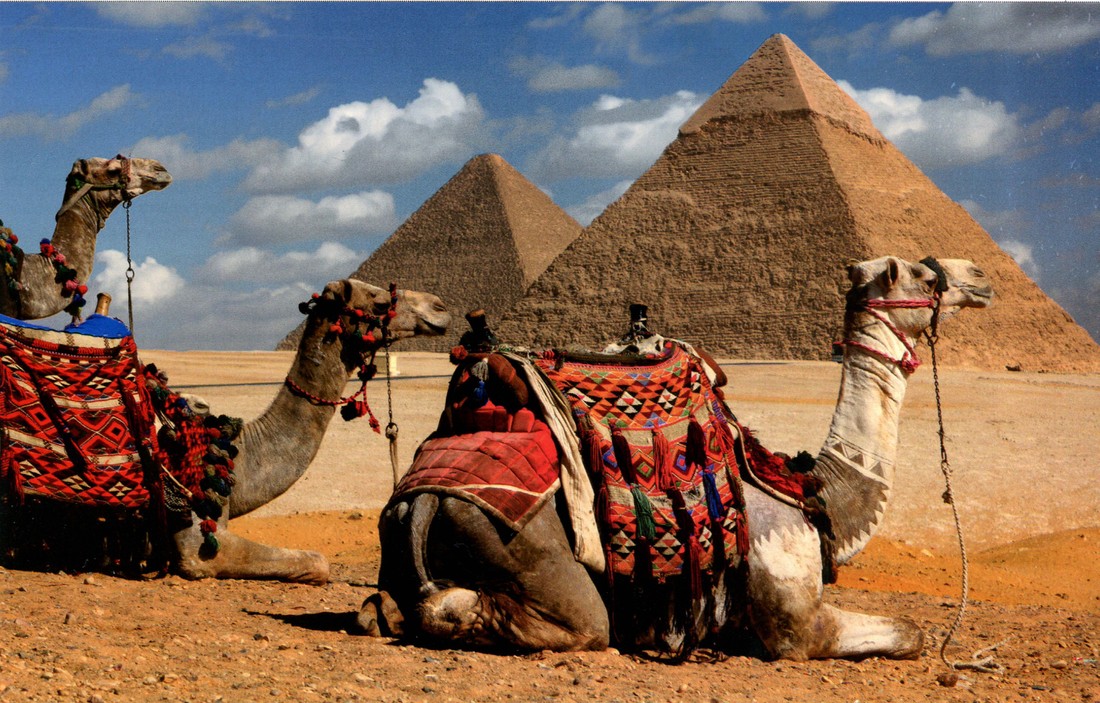 Эксперты: новости об очередях за путевками в Египет - фейк