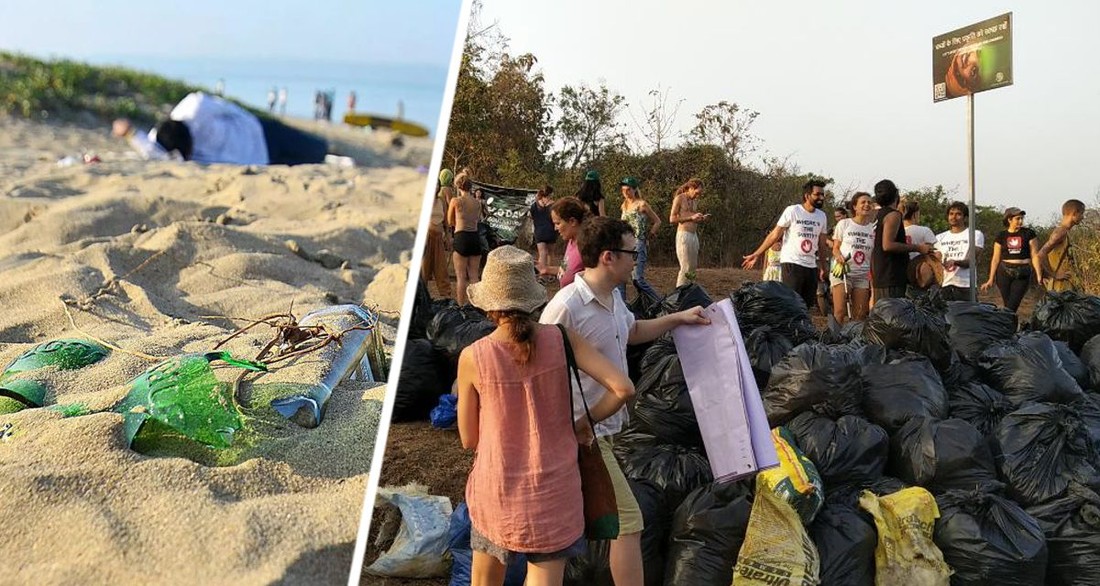 Российские туристы в Гоа массово занялись уборкой мусора