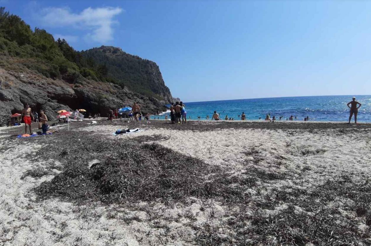 Россиянка в Турции сообщила об ужасном состоянии самого популярного у российских туристов пляжа