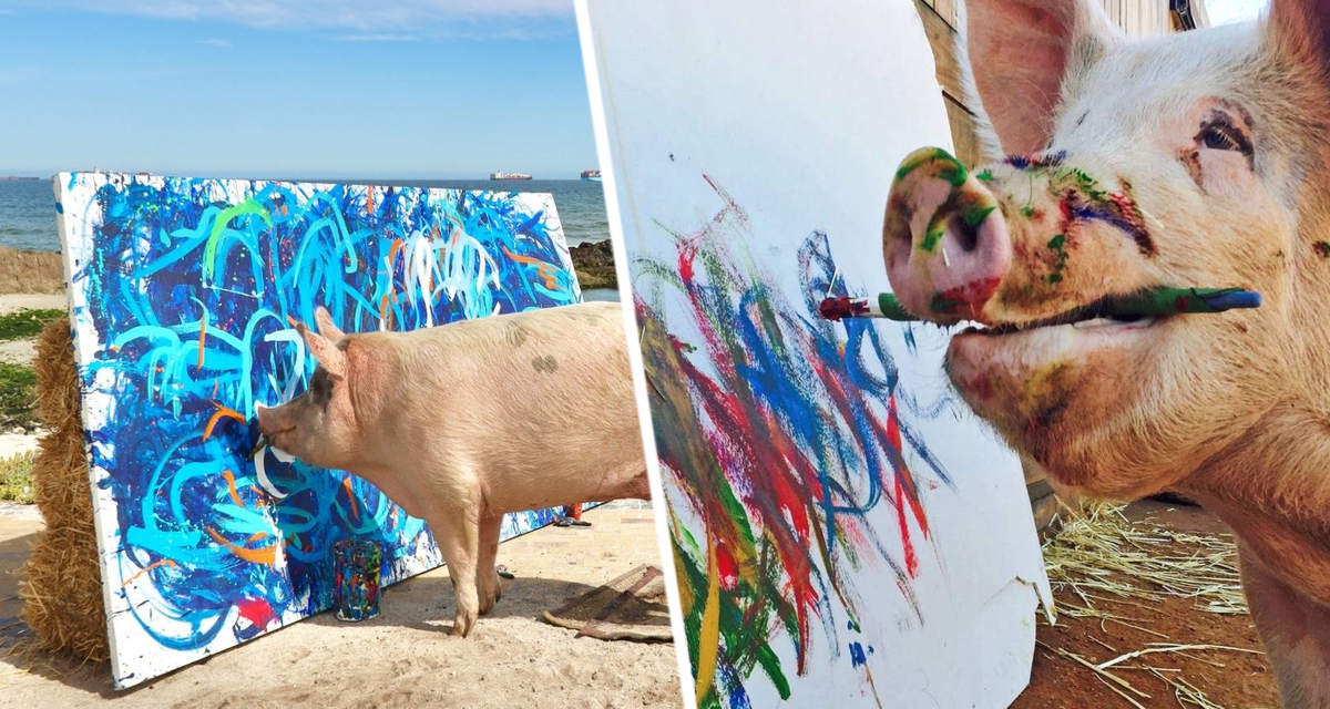 Умер Пигкассо — свин-художник, заработавший более миллиона долларов