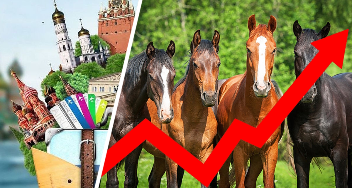 Цены на всё конские: собраны мнения российских туристов о турах в Кисловодск