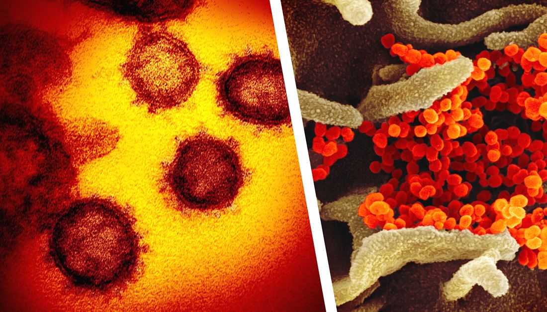 Комары переносят коронавирус, а чеснок защищает? Опровергаем популярные мифы