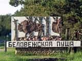 Белорусские санатории повышают цены из-за нестабильности национальной валюты