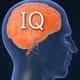 Исследование: у туристов после отпуска снижается IQ