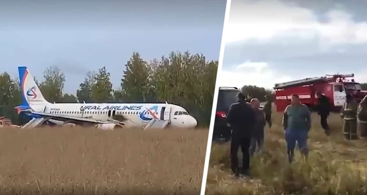Неожиданно: названа судьба самолета, аварийно севшего под Новосибирском в чистое поле