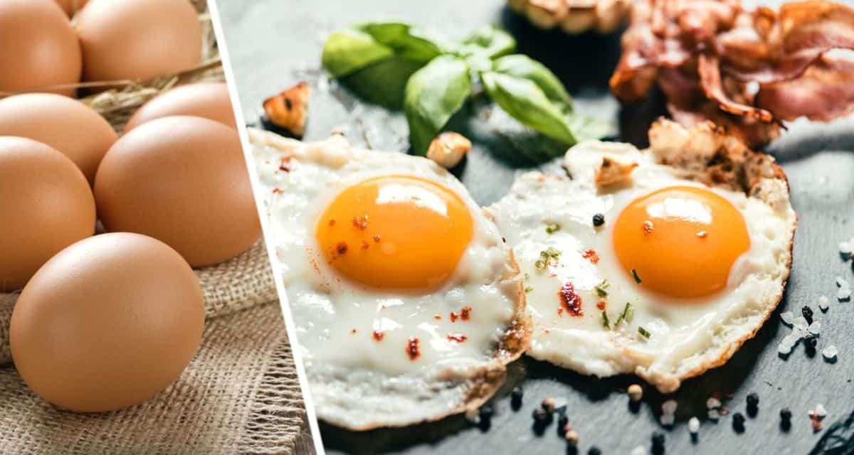Как связаны ранняя смерть, рак и яйца: учёные дали неприятный ответ