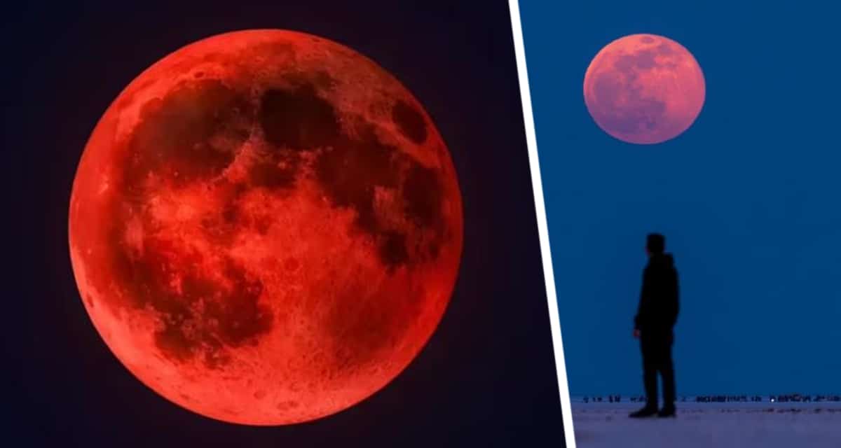 Космический weekend: российских туристов позвали в полет за «Кровавой Луной», Северным сиянием и Полным лунным затмением