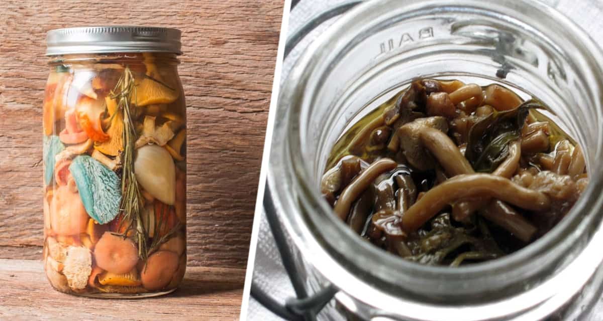 Грибы на зиму: маринуем Подосиновики с травами – рецепт для изысканного вкуса