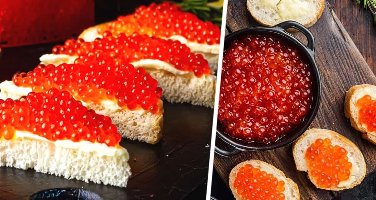 Гастрономическое путешествие на Камчатку: Вкус дикой природы – Красная икра, как символ изобилия