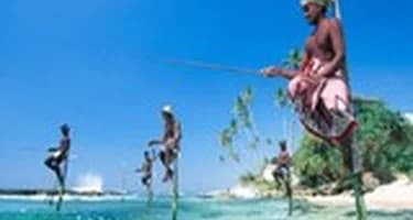 Шри-Ланка по итогам зимнего сезона выросла от 20% до 40%