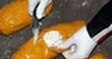 В Перу российских туристов арестовали за провоз 12 кг кокаина