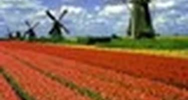 Голландия сократит сроки выдачи виз
