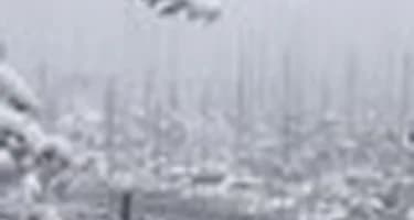 Европу накрыли сильные снегопады, есть пострадавшие туристы