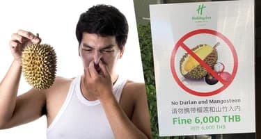 Отправляемся за фруктами в Нячанге: Дуриан – король фруктов или ароматный кошмар?