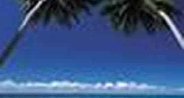 Ростуризм информирует туроператоров по Доминикане