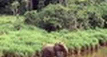 «Rezidor Hotel Group» взяла в управление «Okoume Palace Hotel» в Габоне