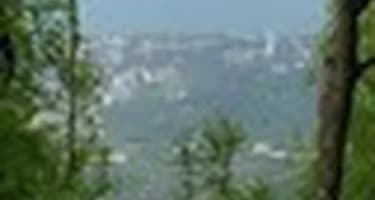 В Геленджике канатную дорогу «Сафари-парка» продлят на километр