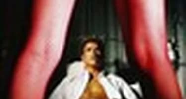 Бордельный бизнес расцвел после приезда российских болельщиков