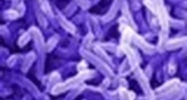 С чартера Бангкок-Хабаровск снят турист с холерой