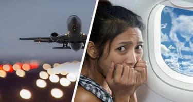 Крылатый «камикадзе»: авиаудар пернатых привёл к страховой выплате 10 миллионов