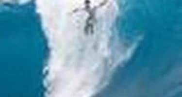 Австралия: океан «переплюнул» ядовитых пауков и змей