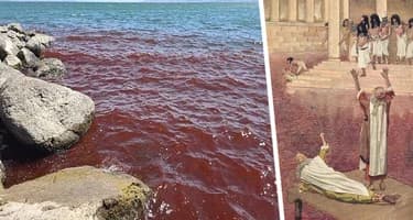 Галилейское море: кровь или водоросли? Турпром успокаивает туристов, планирующих поездку в Израиль