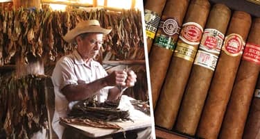 Отправляемся за сувенирами в Гаване: в поисках аромата Кубы – настоящий кубинский табак