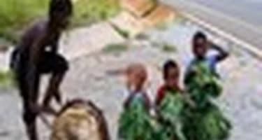 В странах Африки в 2012 году пройдет множество фестивалей