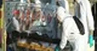 Вирус Эбола шагает по Европе