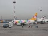 «Sky Express» готовит для туристов запасной путь в Чехию через Дрезден