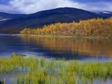 Финляндия и Норвегия готовятся к рекордному лету