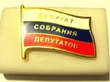 Директор турфирмы стала депутатом