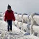 Черное море замерзло, морское сообщение на курортах приостановлено
