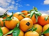 Марокко ожидает стабильный сезон без горящих туров